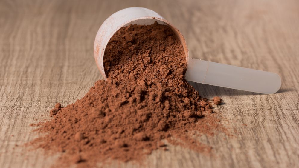 protein (1)_2